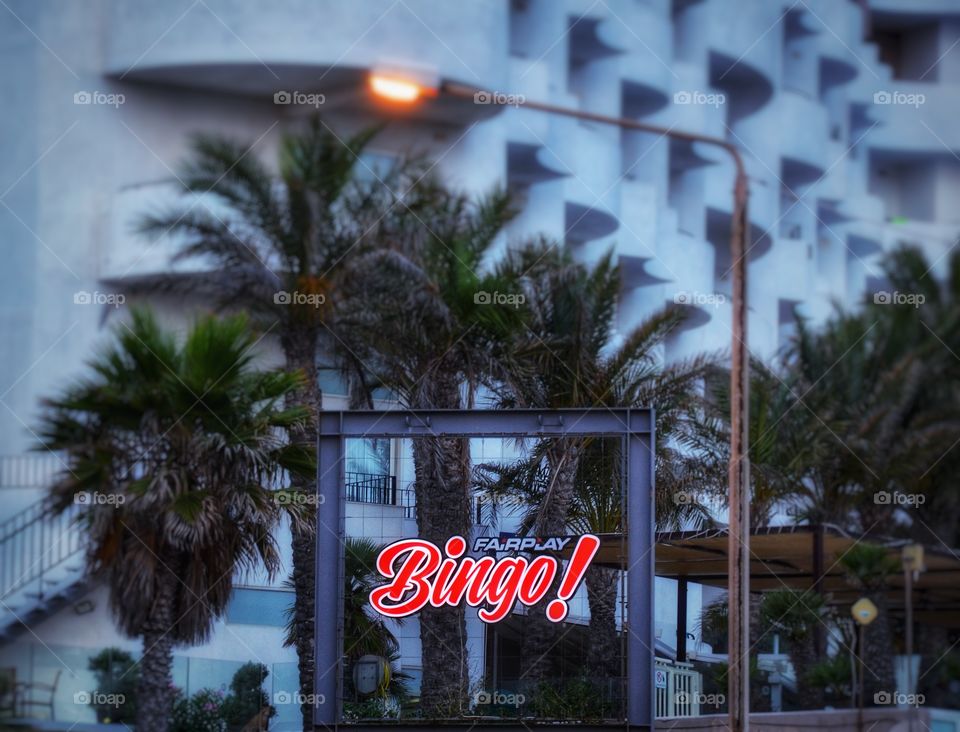 bingo