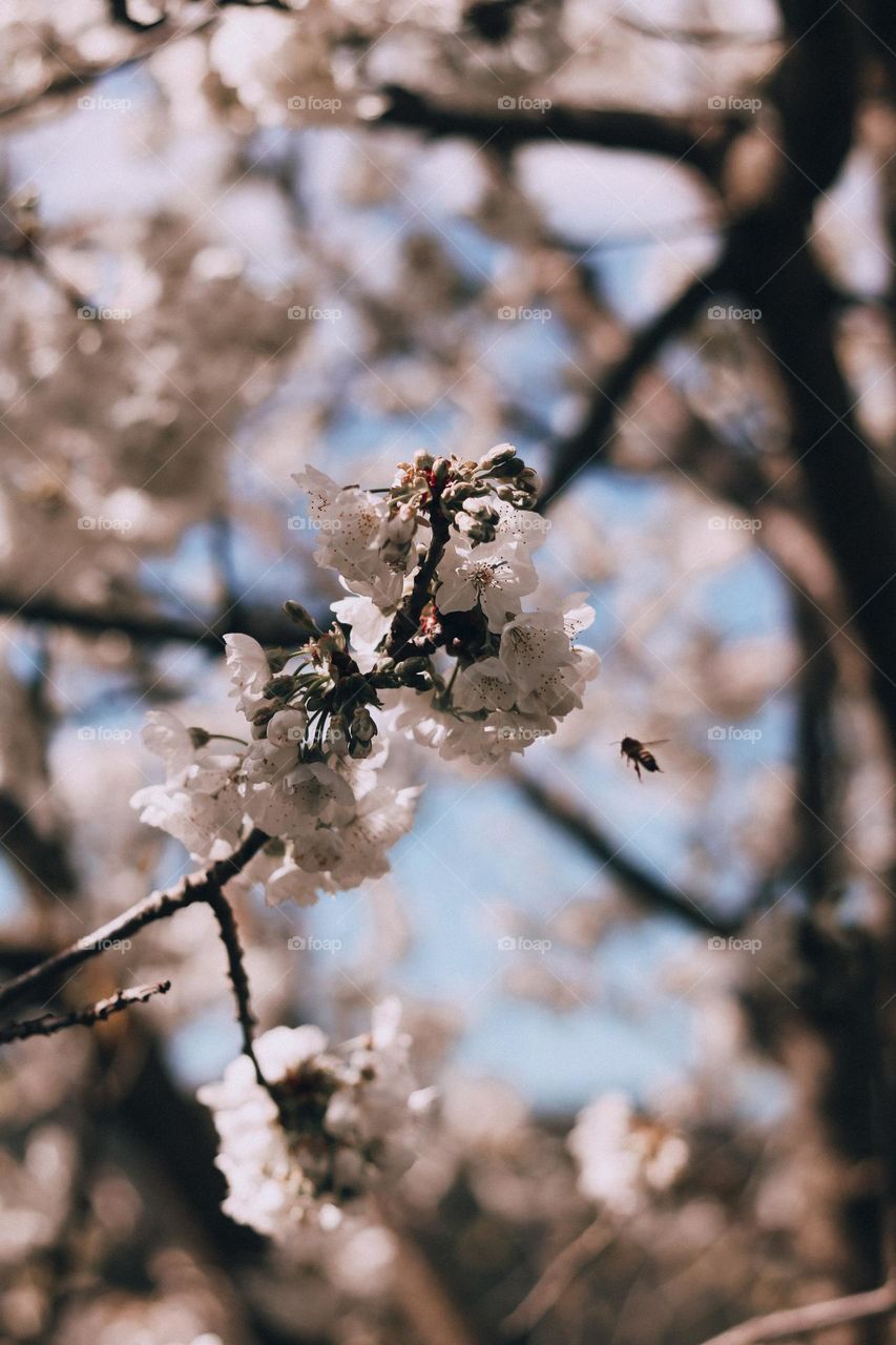 Dare to be different.  Each color in this photo will be experienced differently by each of us.  How beautiful life is.  Is it?