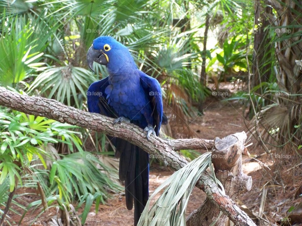 Brevard Zoo - Melbourne, Florida