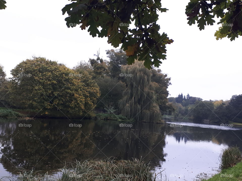 Reflective Lake