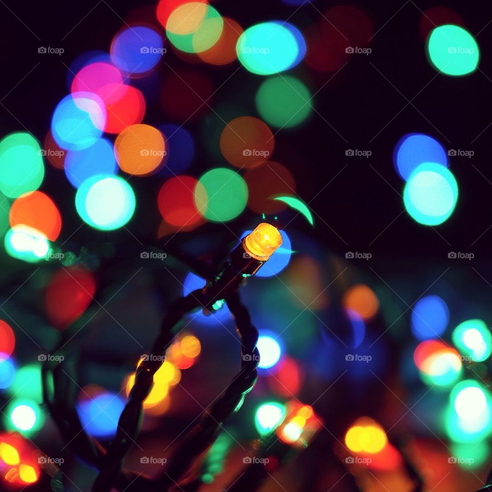 Christmas lights at night