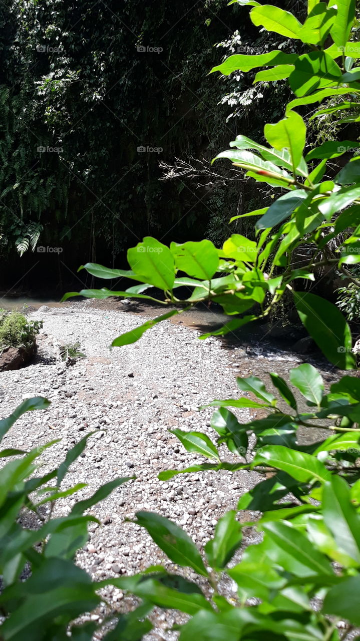 Nature has a lot to teach the meaning of life to us ..