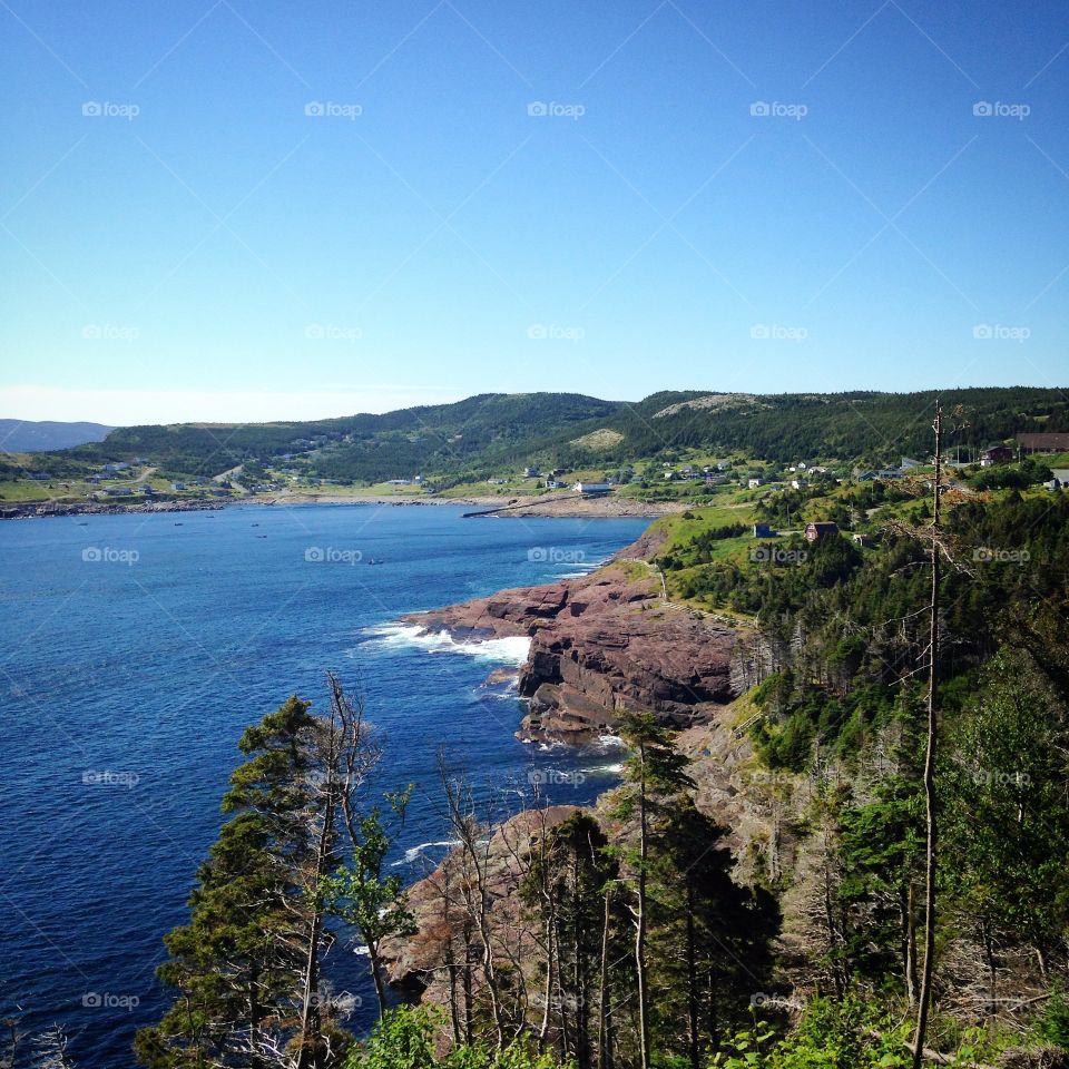 Flatrock cove
