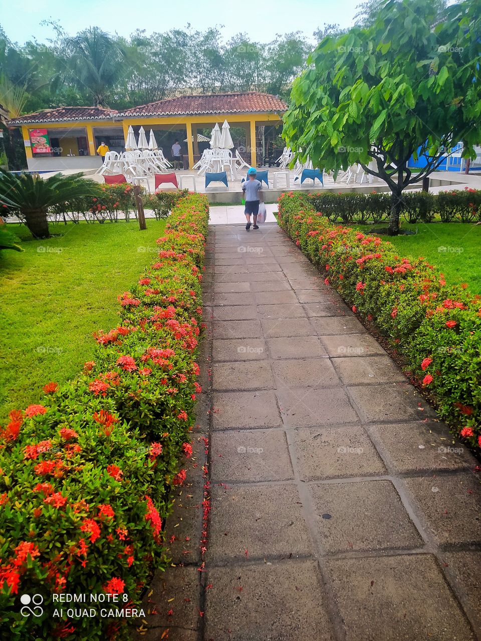 Jardim da pousada bem cuidado as plantas bem hidratadas trazendo bem estar e beleza ao local