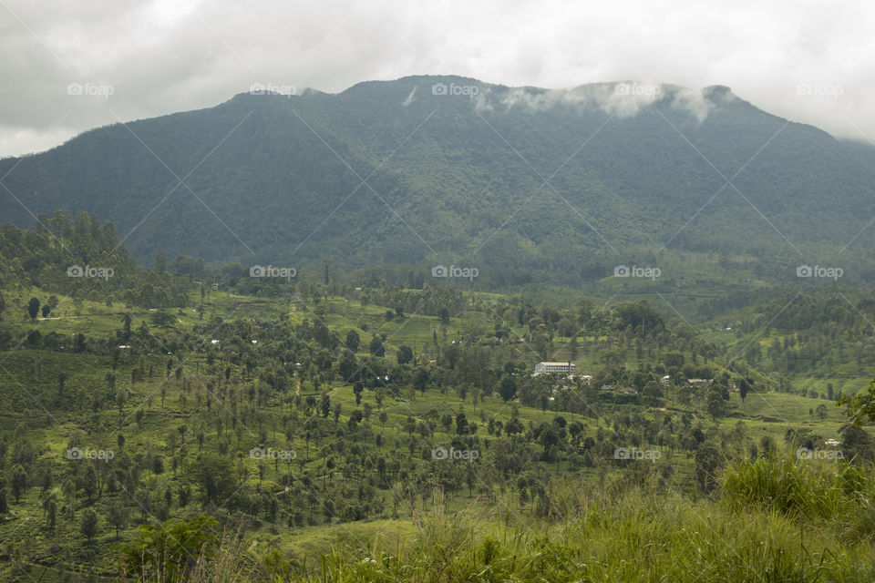 nuwara eliya sri lanka
