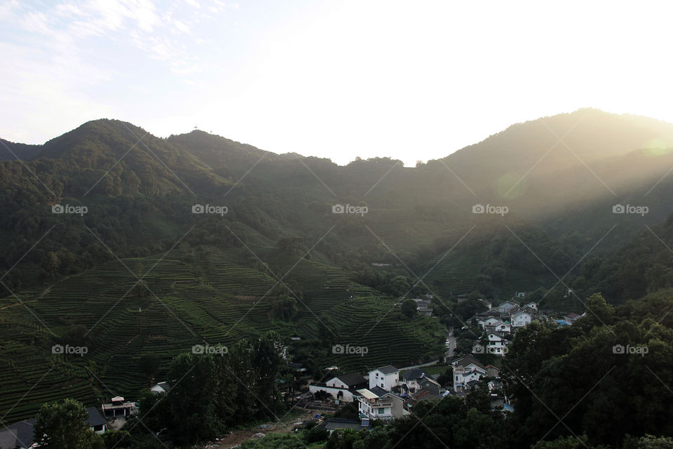 hangzhou sunset. A sunset at hangzhou tea plantage, china.