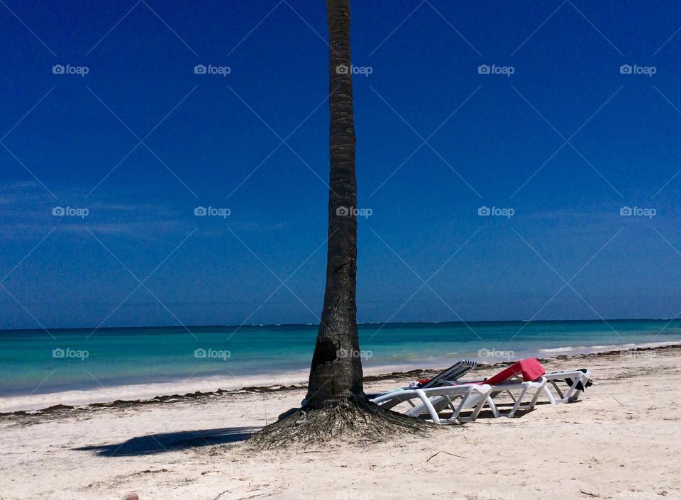 Beach Chairs