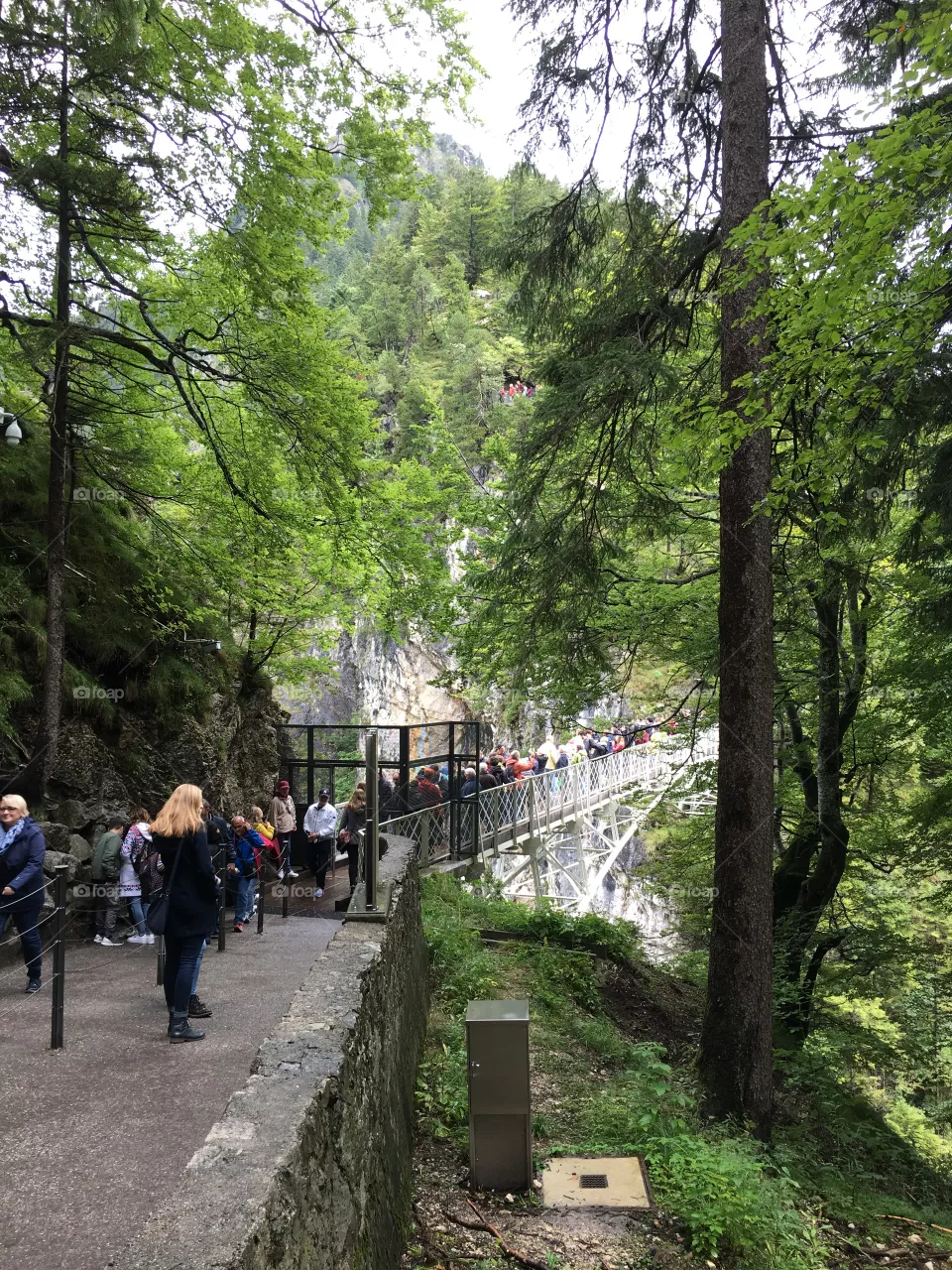 Bridge 
