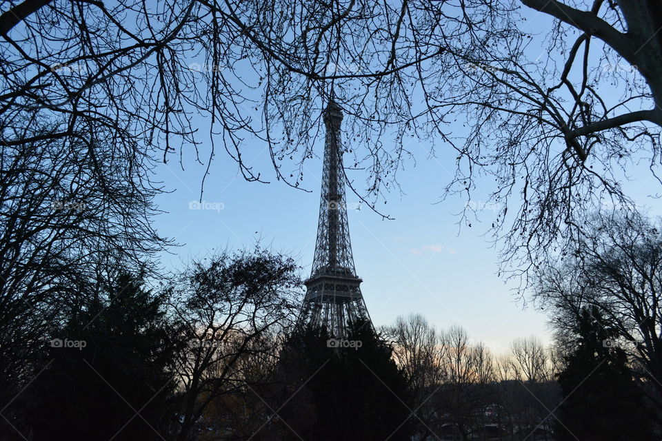 Framed Eiffel tower in Paris with vegetation around