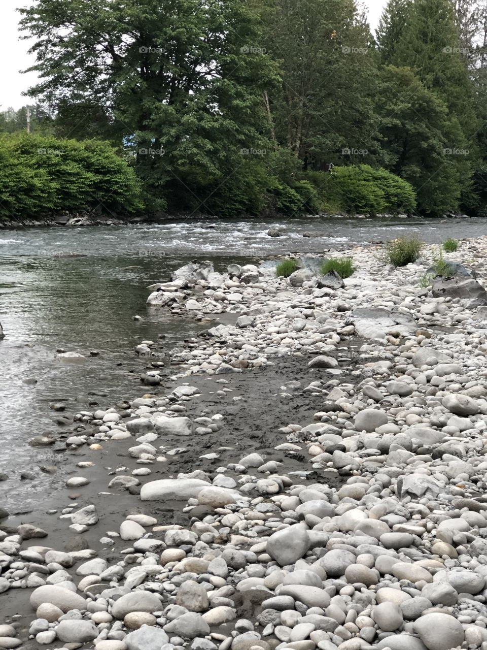 Stillaguamish River