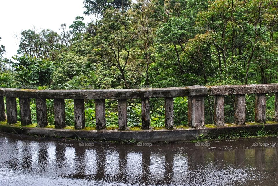 Spotted a bridge on the road to Hana in Hawaii.