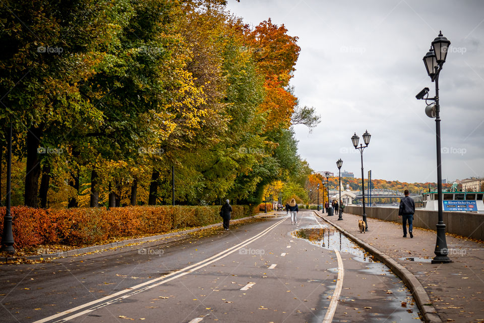 Walking area in the park