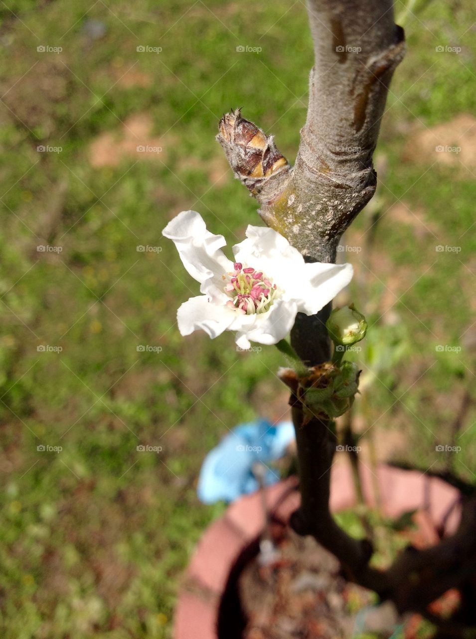 First signs of spring 