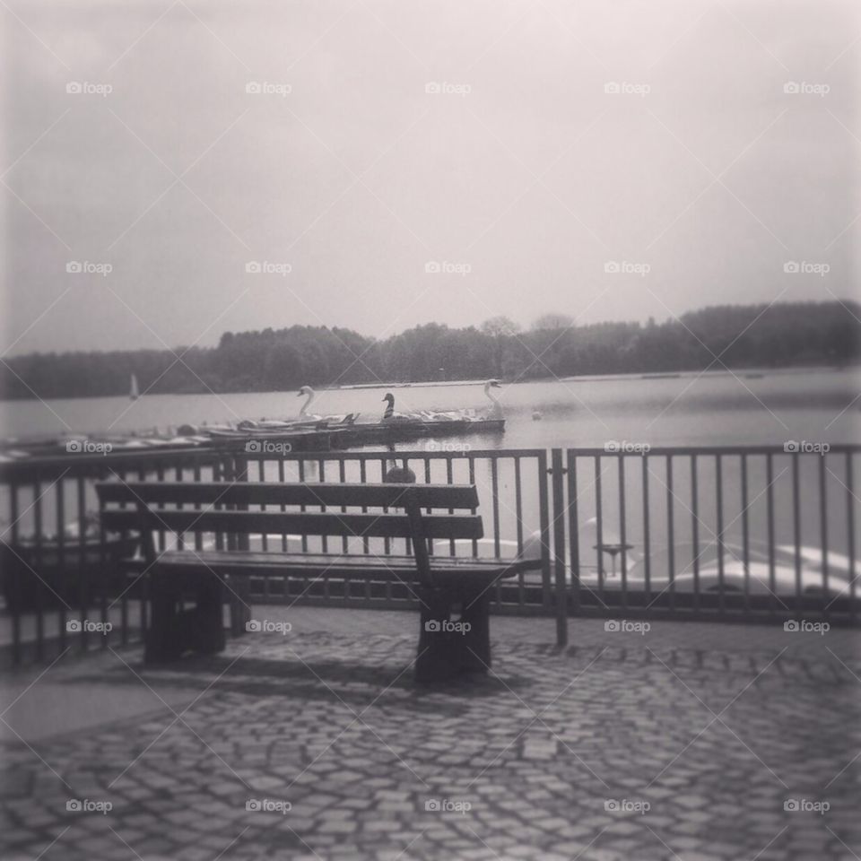 Panchina solitaria sul lago