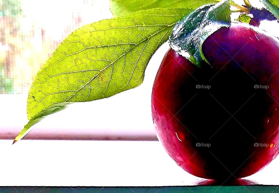 plum in a window
