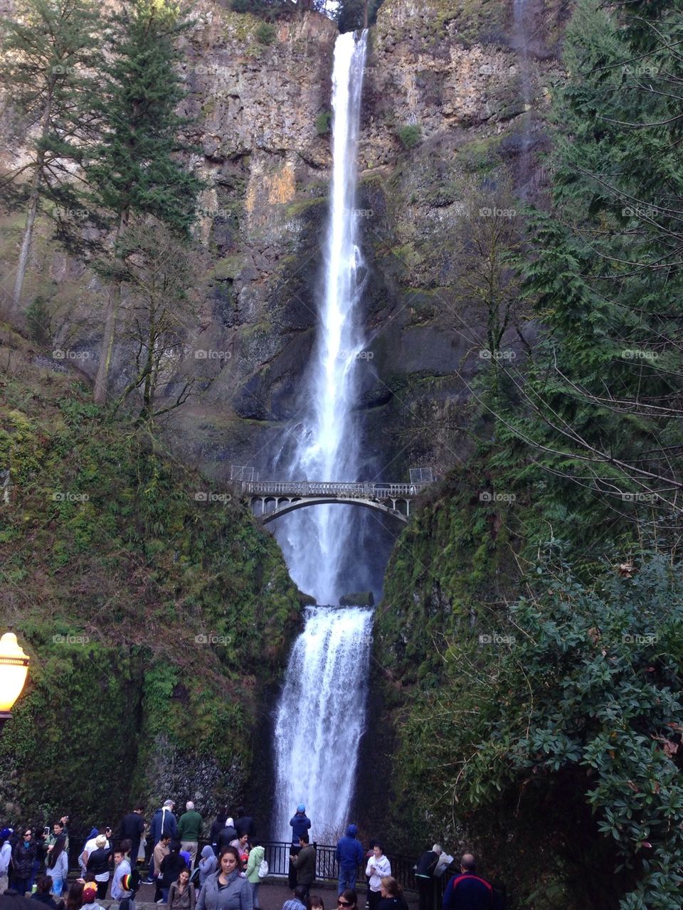 Multnomah Falls
