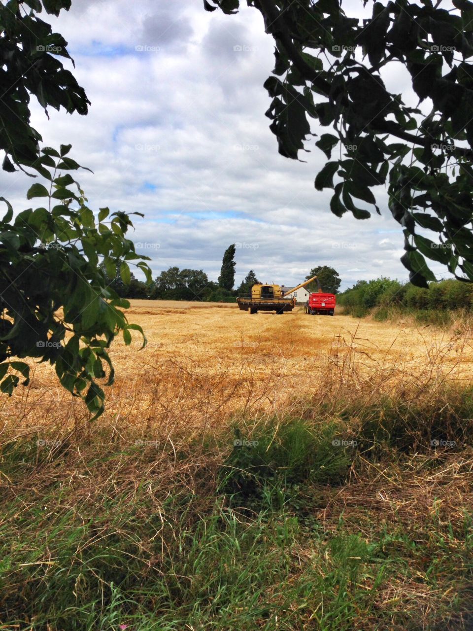 English countryside 