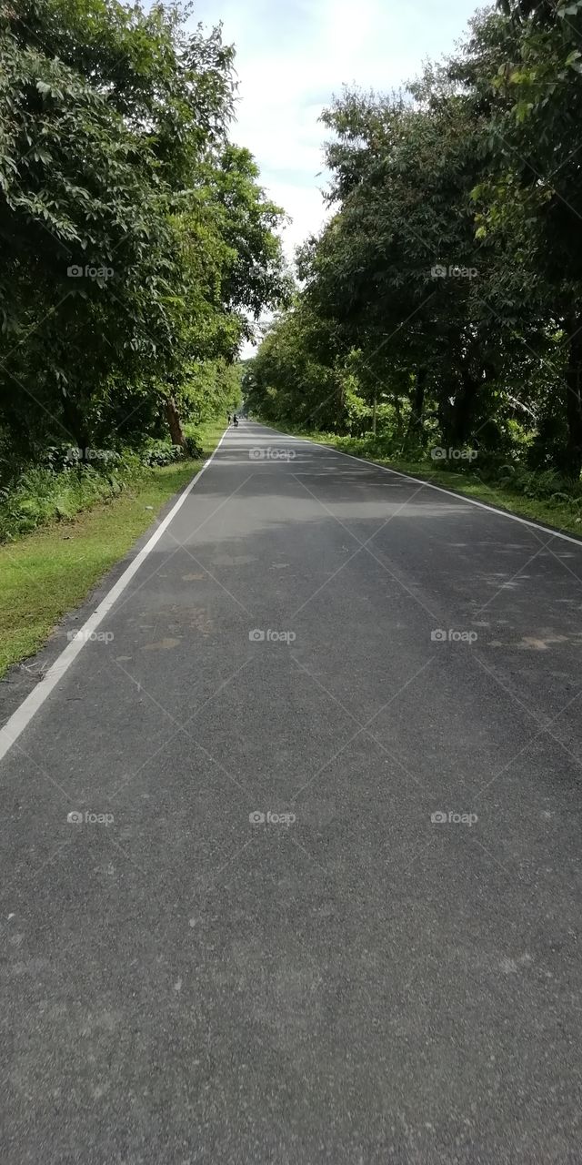 road with green color
