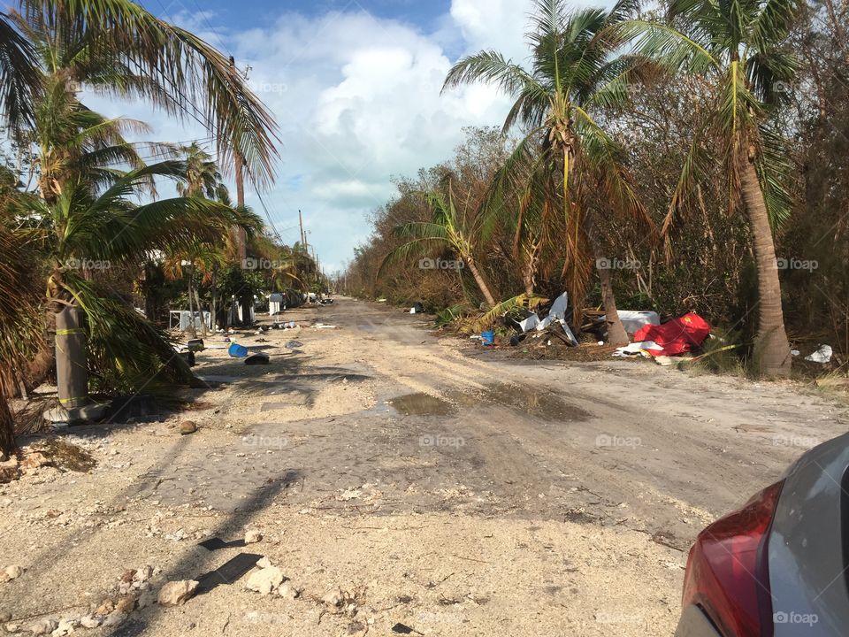 The after affects of Hurricane Irma