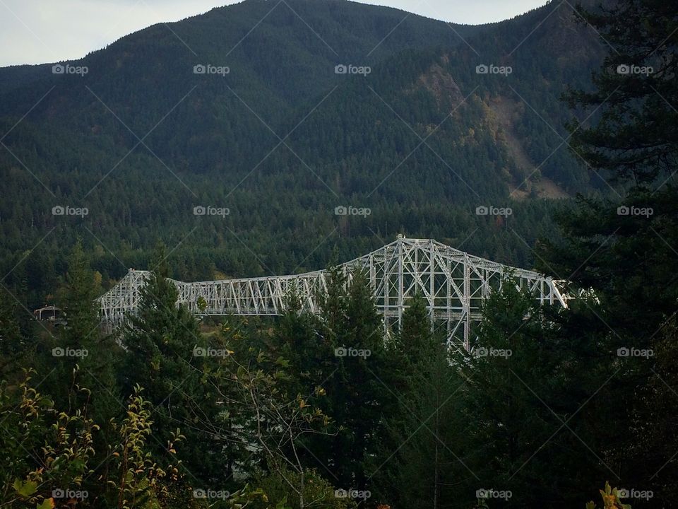 A modern bridge in Oregon 