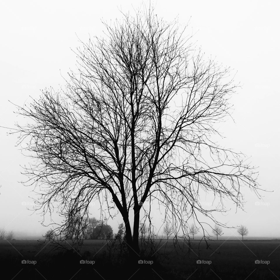 Facing reality with one’s own concepts...