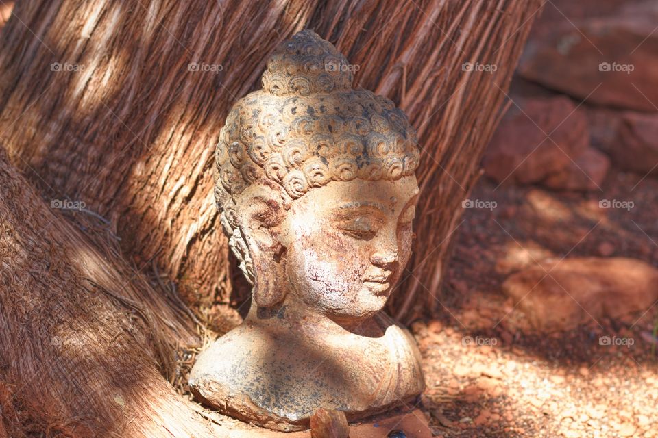 Buddha next to tree