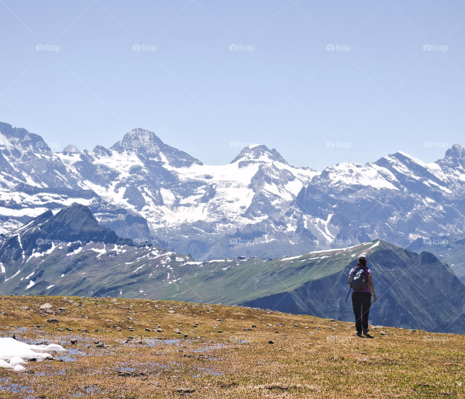 Hiking on plateau (schynige platte) with snow capped mountains in background. Great panoramic view.
