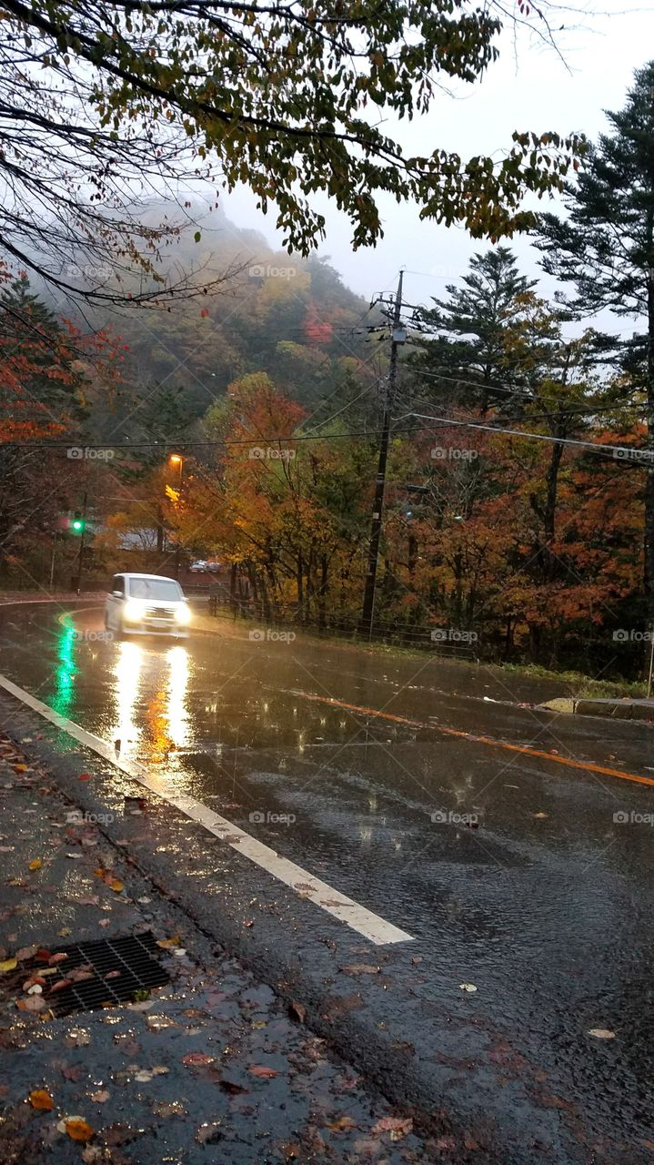 Rainy roads