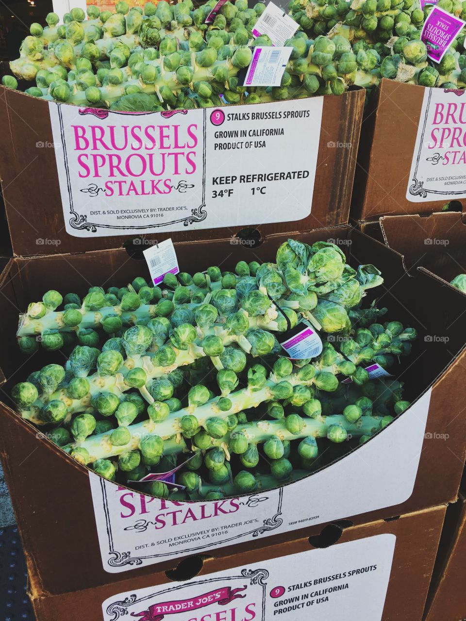 Brussel sprouts 