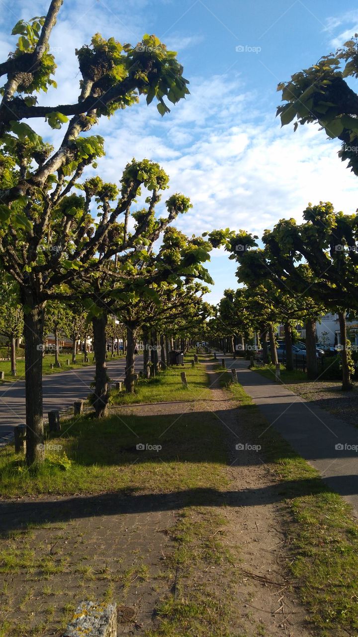 Lubeka Lübeck Germany Deutschland Niemcy