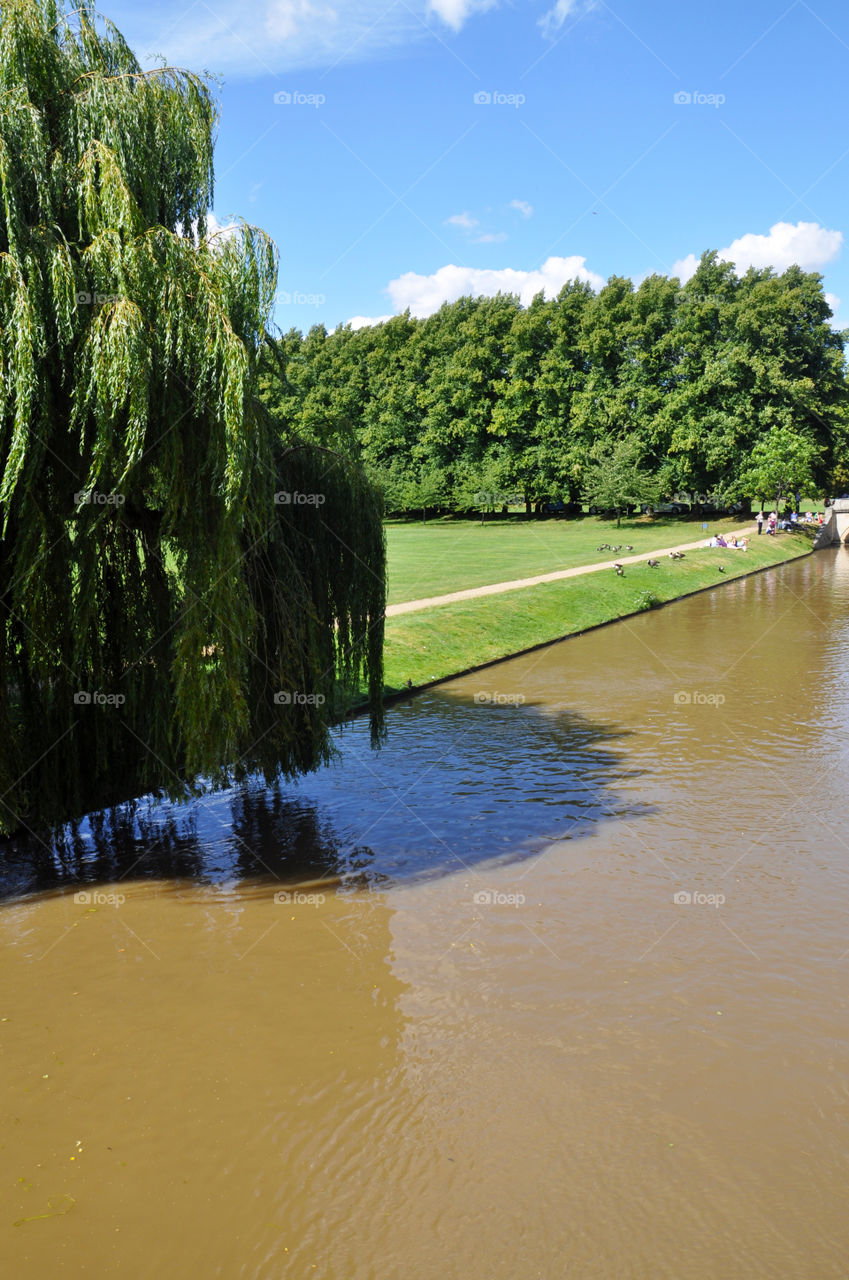 Cambridge view 