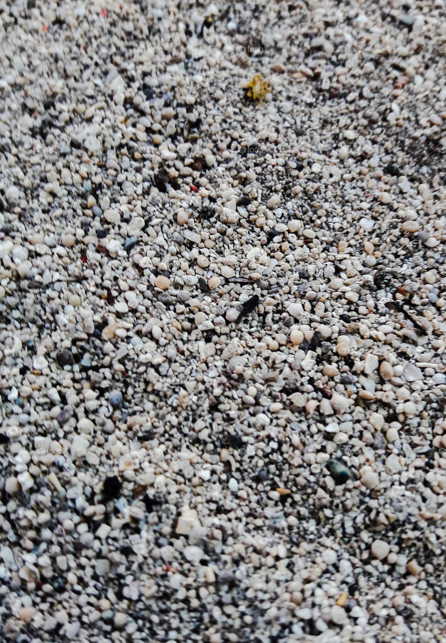When you look at this gravel, you can say it's just a gravel. But who knows how many imigrants are thriving in each of the tiny pebbles in this gravel.