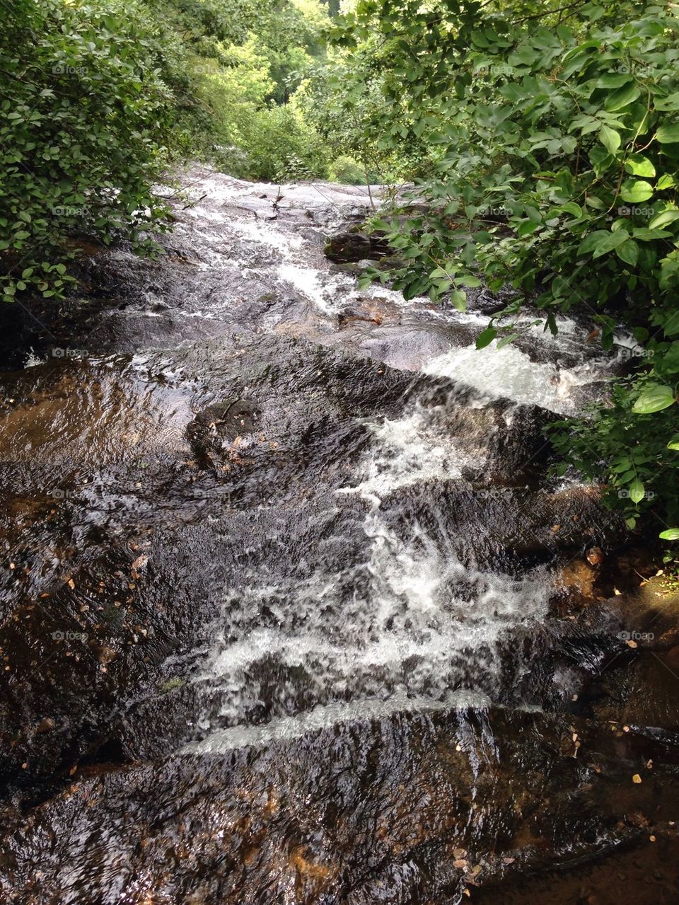 Water rushing over rocks