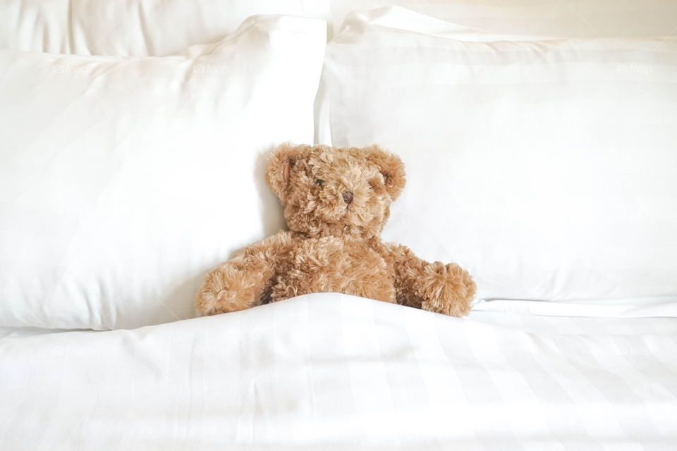 Cute teddy bear sleeping comfortably in bed, good morning and welcome a new day concept, soft focus