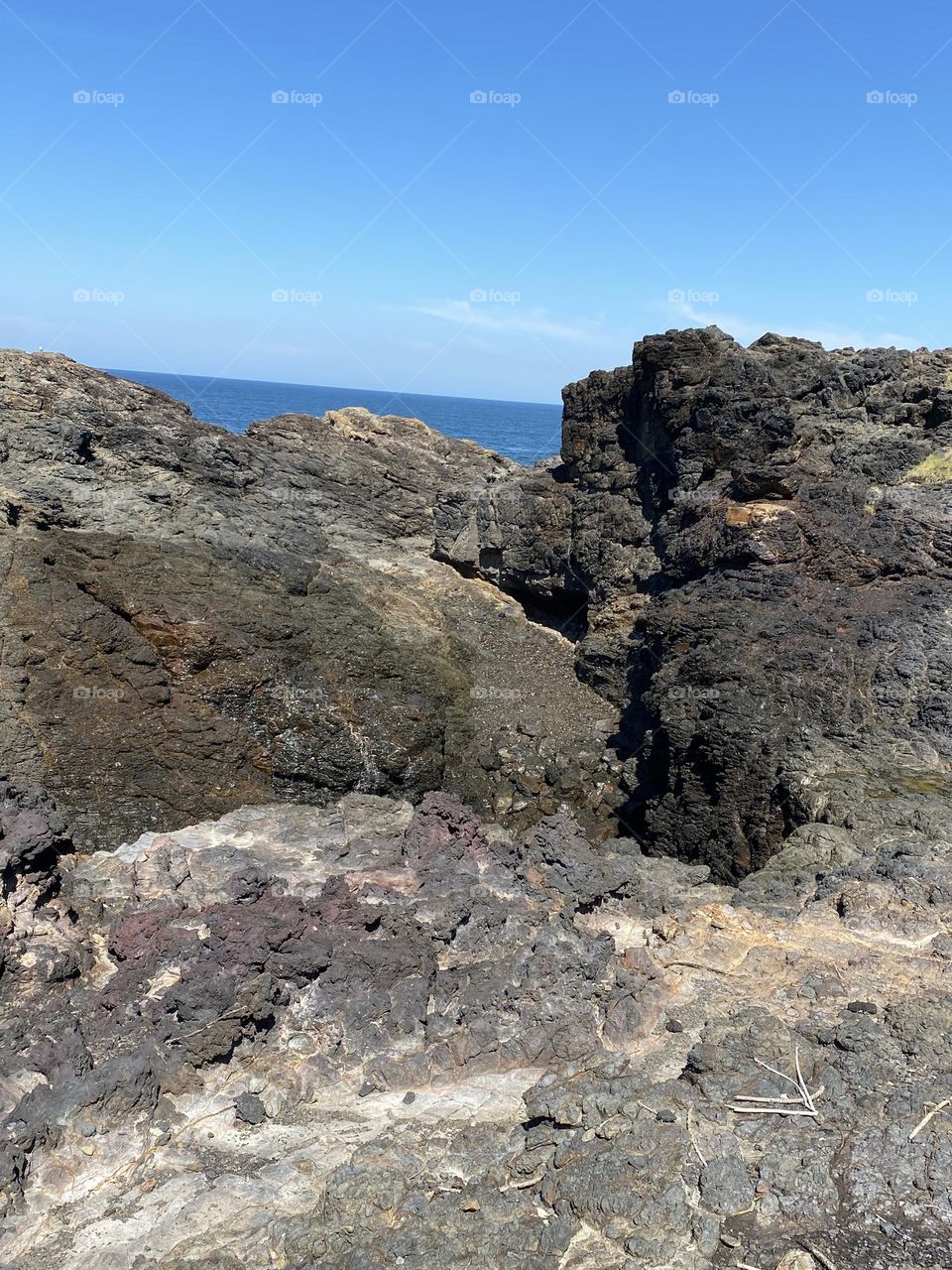 Beauty of earth 🌍