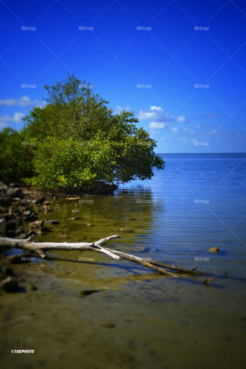 Water, Reflection, Nature, Lake, Landscape