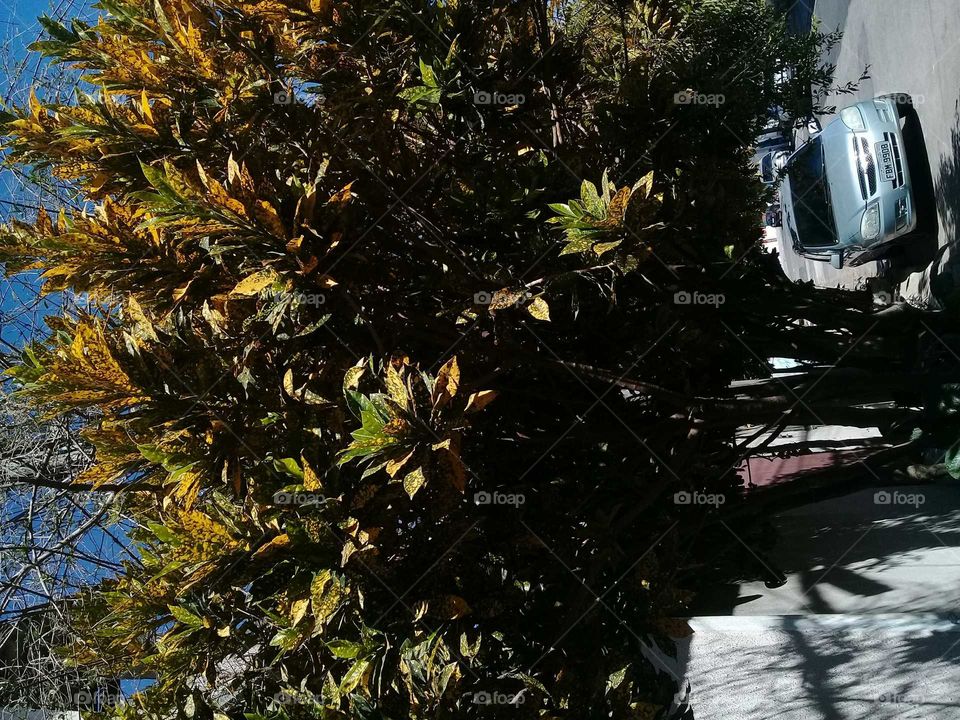 miracle of nature always in our favor