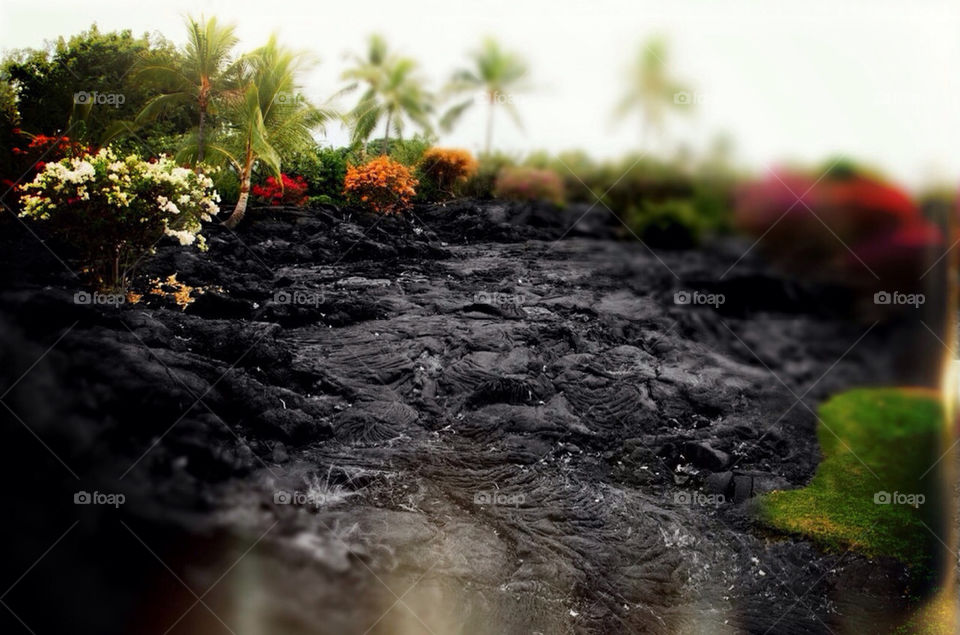 Lava rock in Oahu Hi