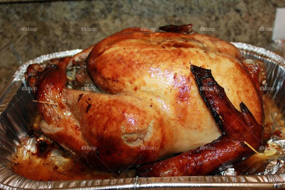 Thanksgiving Turkey