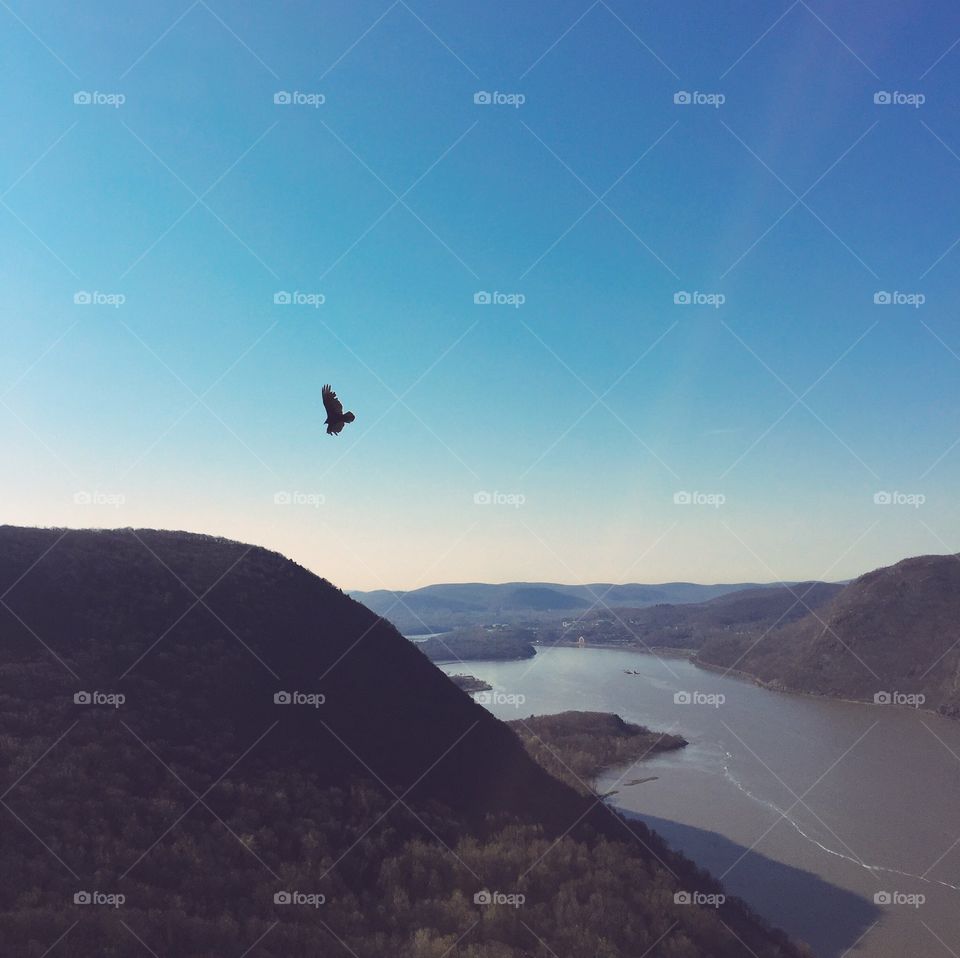 Spring trail run along Breakneck Ridge 