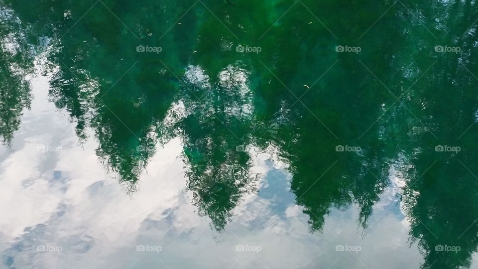 big spring reflection