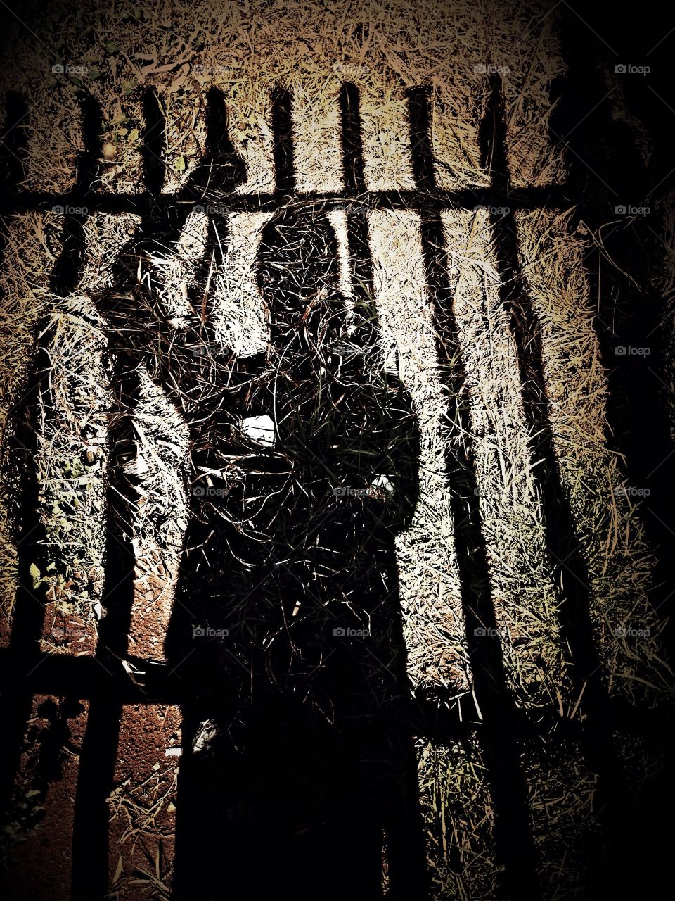 Apocalyptic afternoon