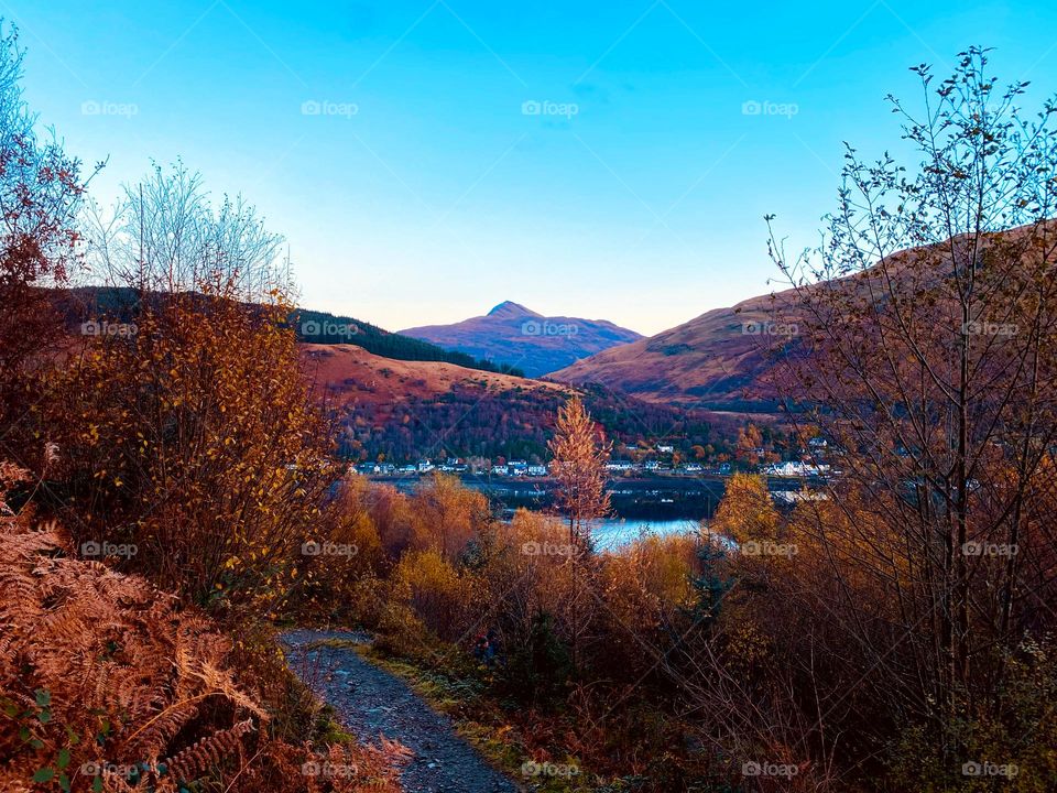 Autumn brown in Scotland, UK