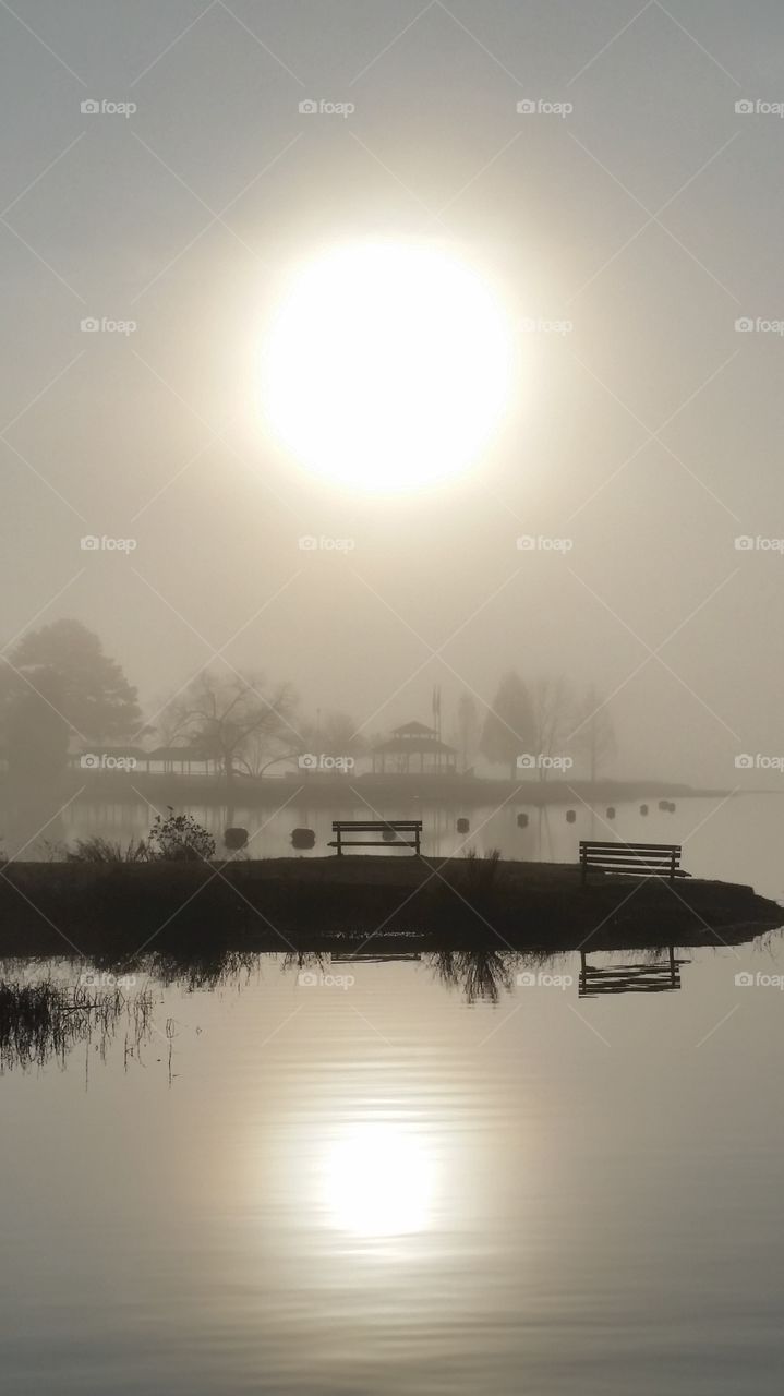 morning fog at the lake