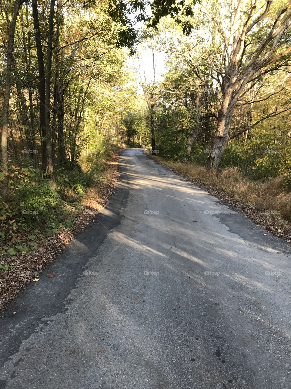 Old country road with fall leaves 