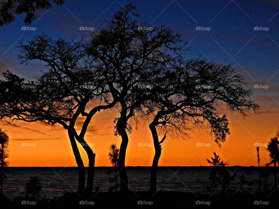 A Breathtaking descending sunset with picturesque peach colored background and blue sky over the Gulf of Mexico