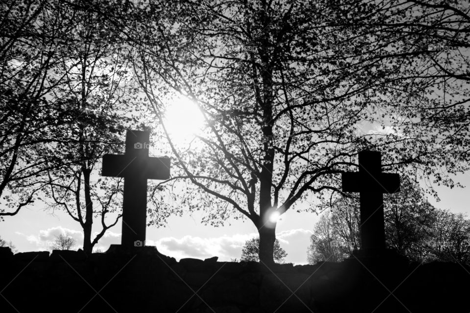 old Swedish cemetery in a backlit black and white photograph