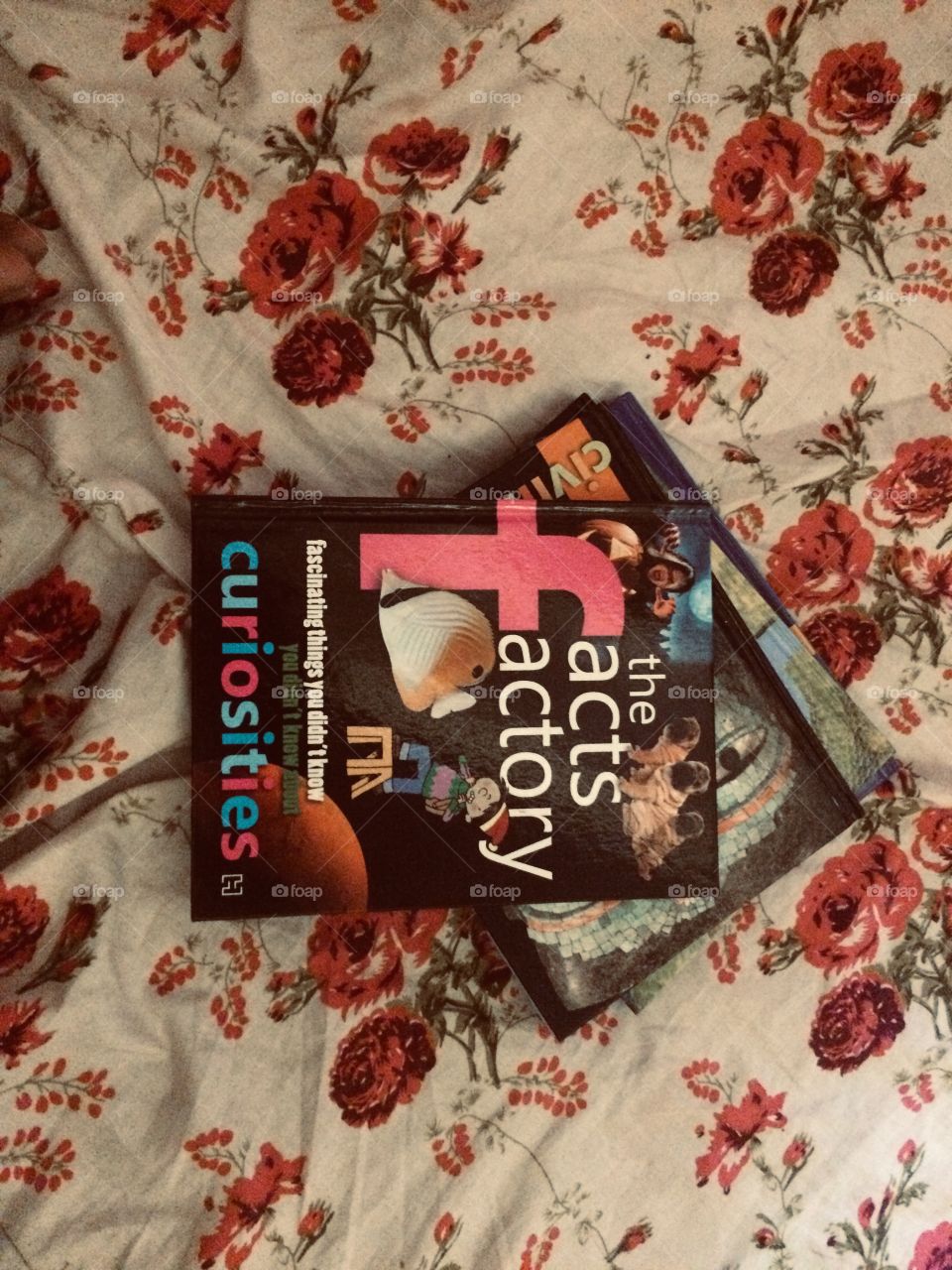 Facts book in bed