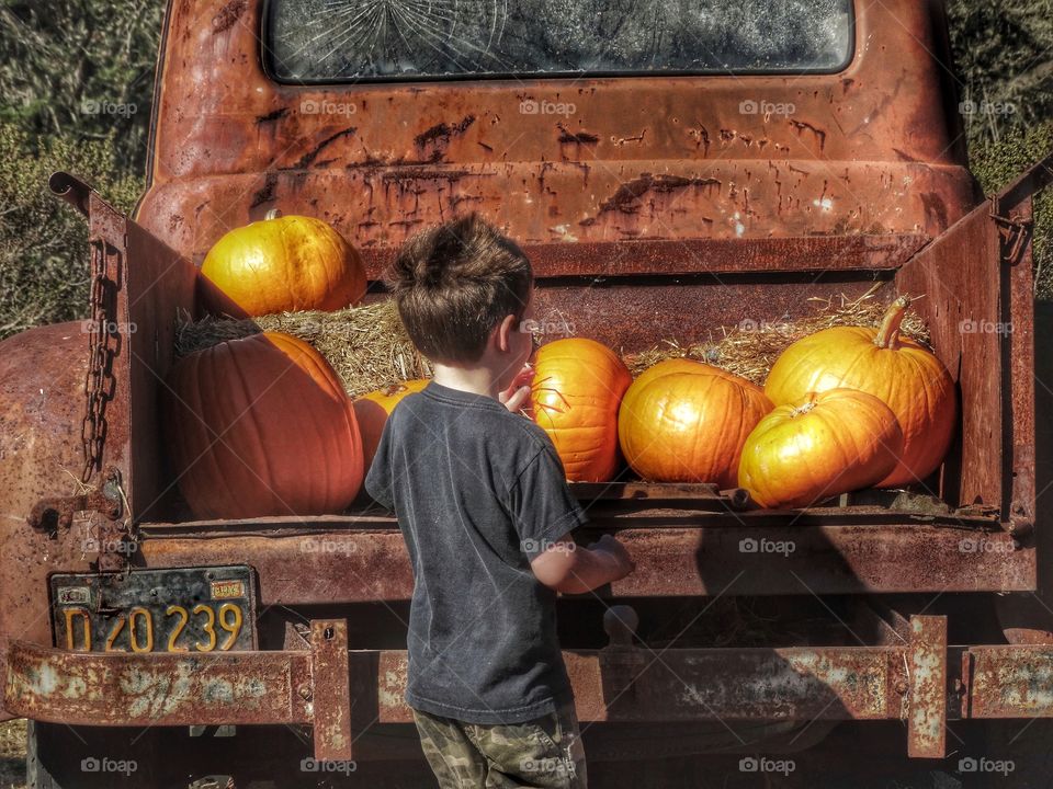 Young Farm Boy Loading Pumpkins Into A Rusty Old Truck