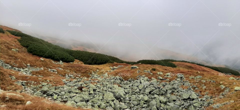 misty mountains